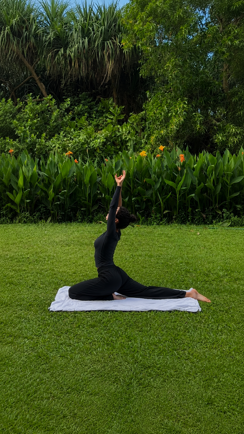 Meditation
Garden